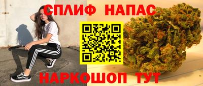 СК Донецк
