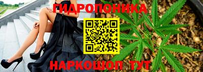 СК Донецк