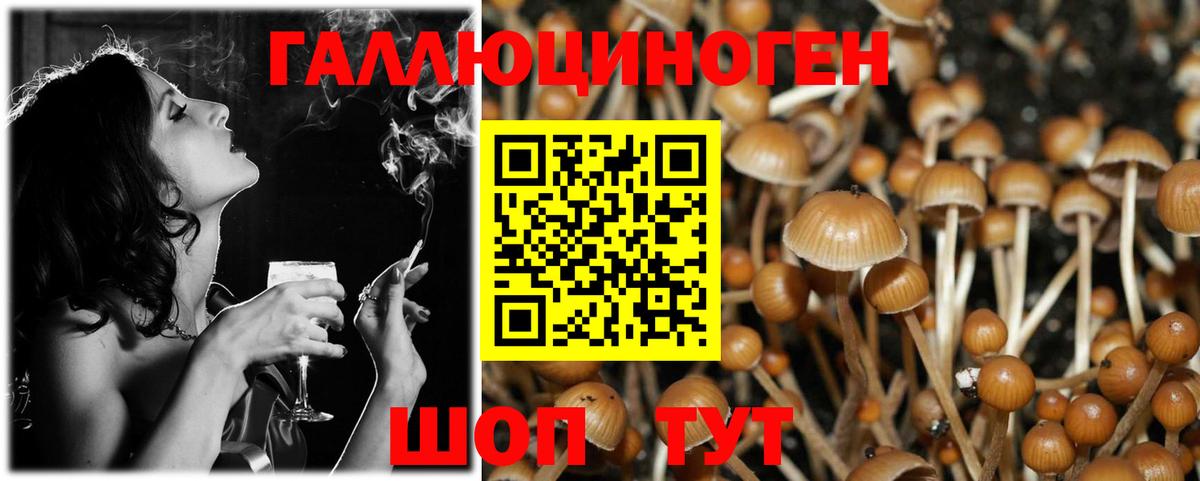 Галлюциногенные грибы Psilocybe  Вход с VPN  купить наркотики цена  Псилоцибиновые грибы мухоморы  Новоалтайск 