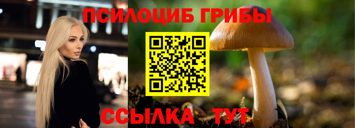 Псилоцибиновые грибы GOLDEN TEACHER Новоалтайск