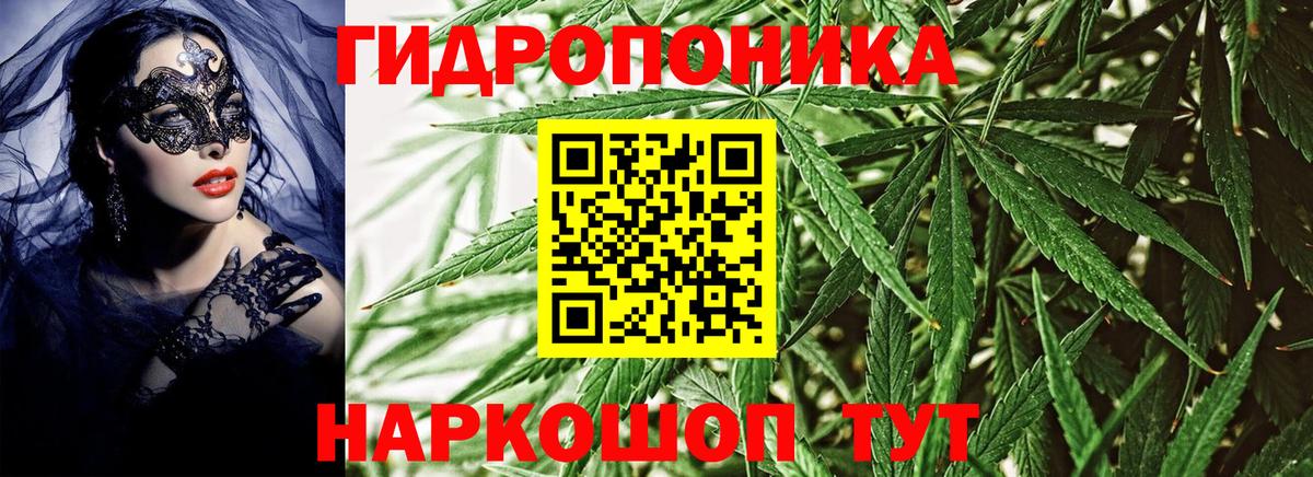 Канабис план Новоалтайск